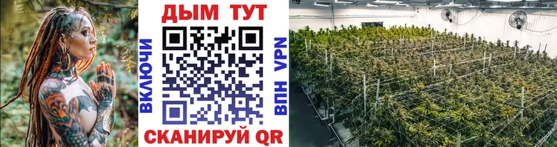 Наркошоп купить Гашиш КОКАИН Меф Марихуана Сураж