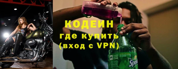 гашик Каменка