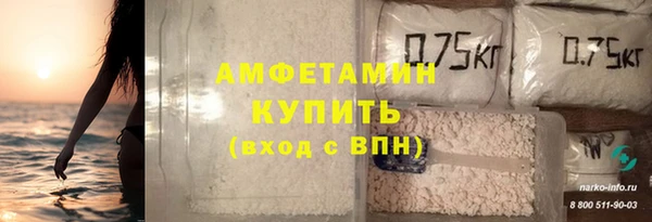 гашик Каменка