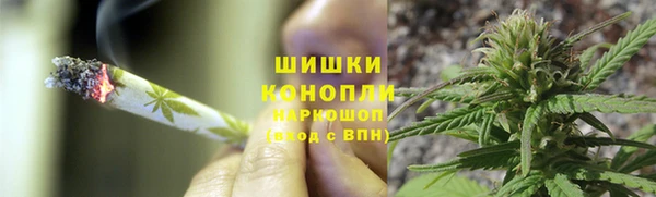 гашик Каменка