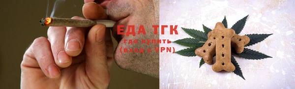 гашик Каменка