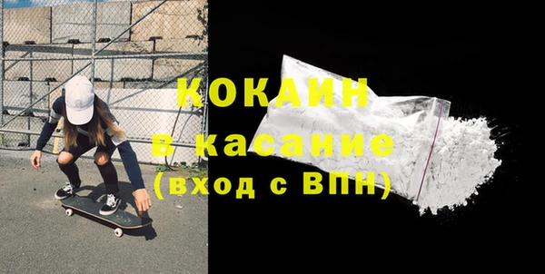 гашик Каменка