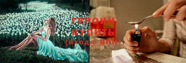 гашик Каменка