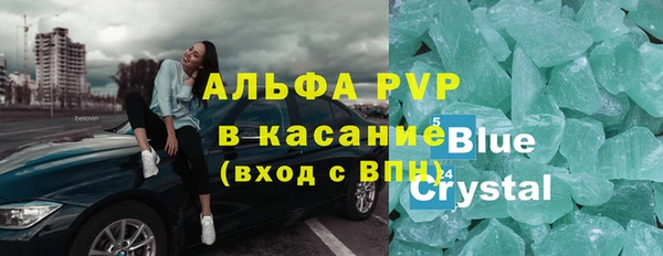 гашик Каменка
