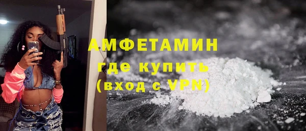 гашик Каменка