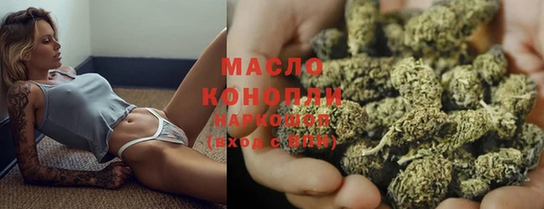 гашик Каменка
