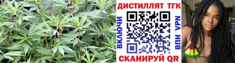 Купить  Сураж  Дистиллят ТГК вейп с тгк 