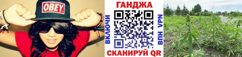 Купить  Сураж  Марихуана марихуана 